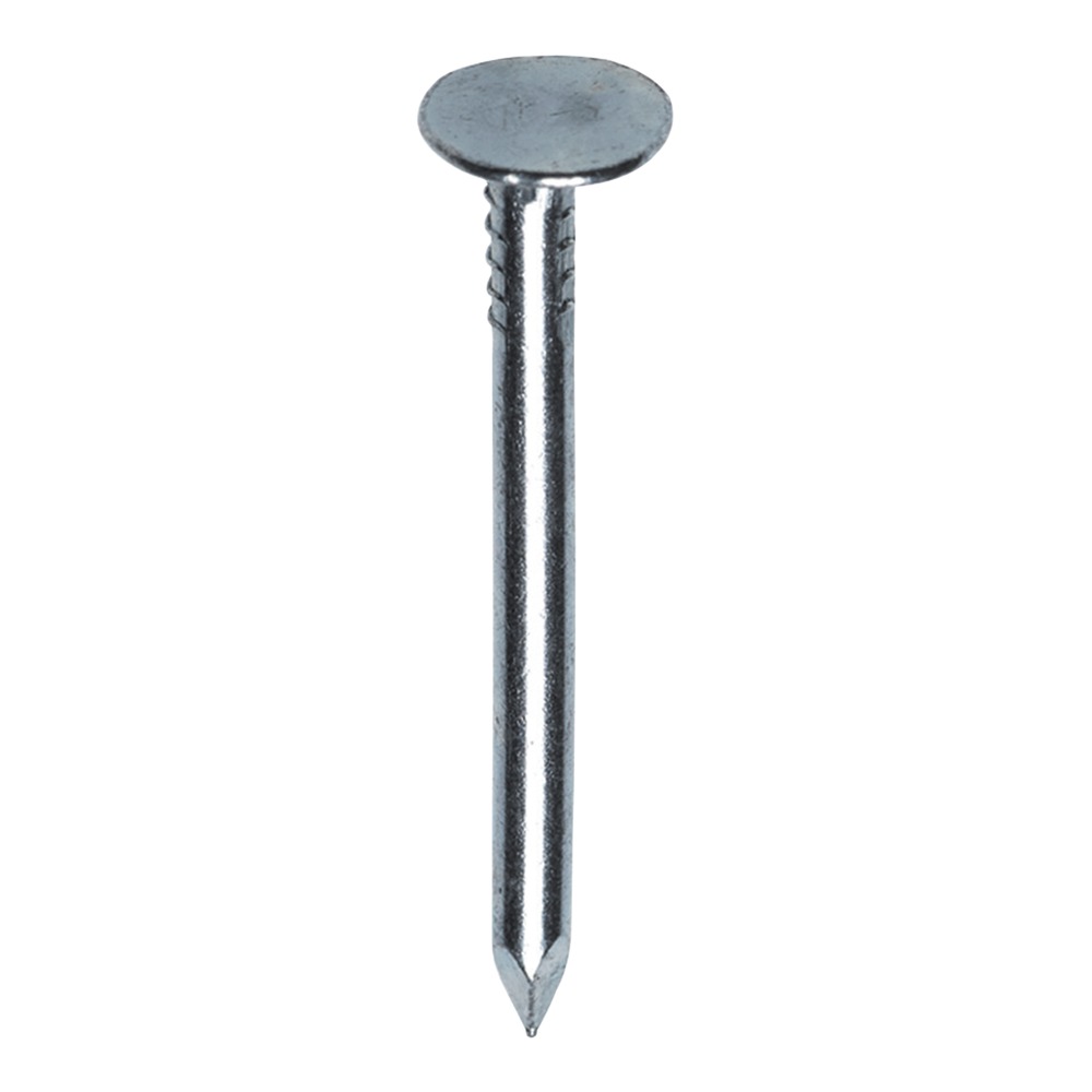 Fis Profi Asfaltnagel Verzinkt Platte Kop 3,0x20mm 1kg