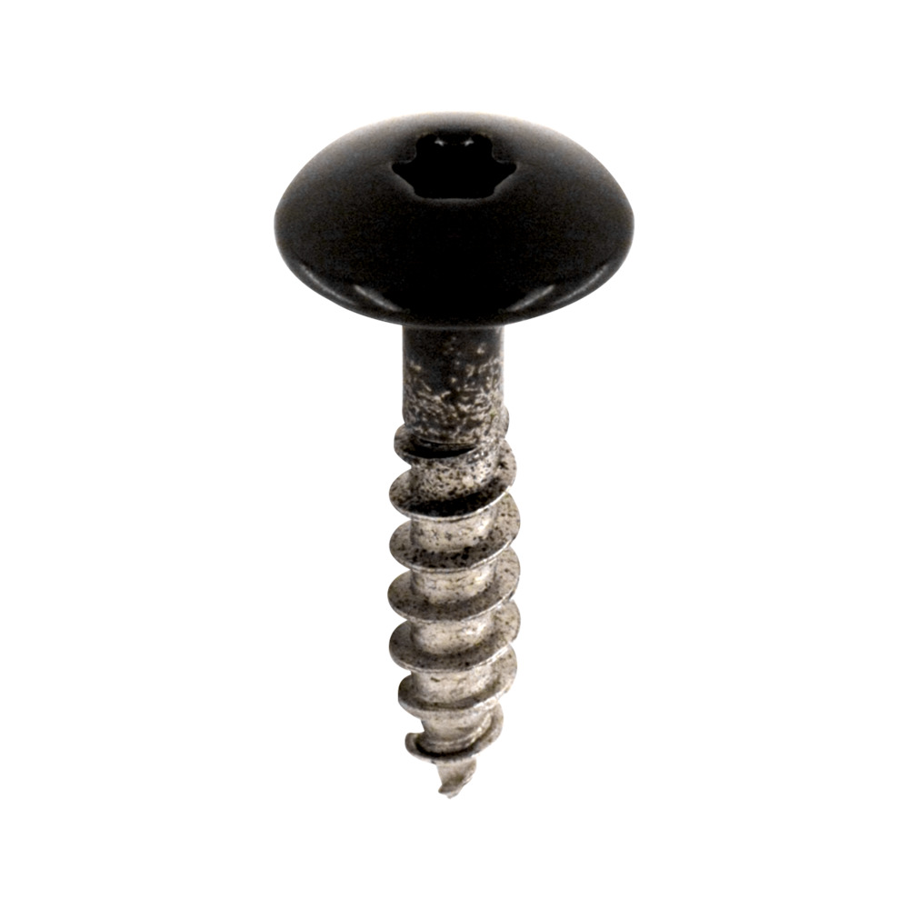 Bouwmaat HPL Schroef RVS Zwart RAL 9005 4,8x25mm T20 100st