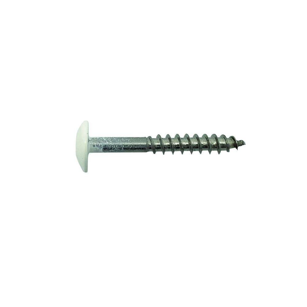 Bouwmaat HPL Schroef RVS Gebroken Wit RAL 9010 4,8x38mm T20 100st