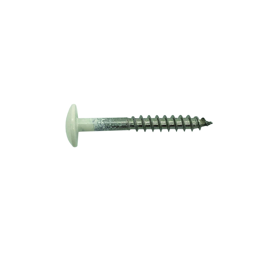 Bouwmaat HPL Schroef RVS Creme RAL 9001 4,8x38mm T20 100st