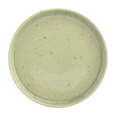 Salt & Pepper Blush Ontbijtbord Green 22 cm (Set van 4)